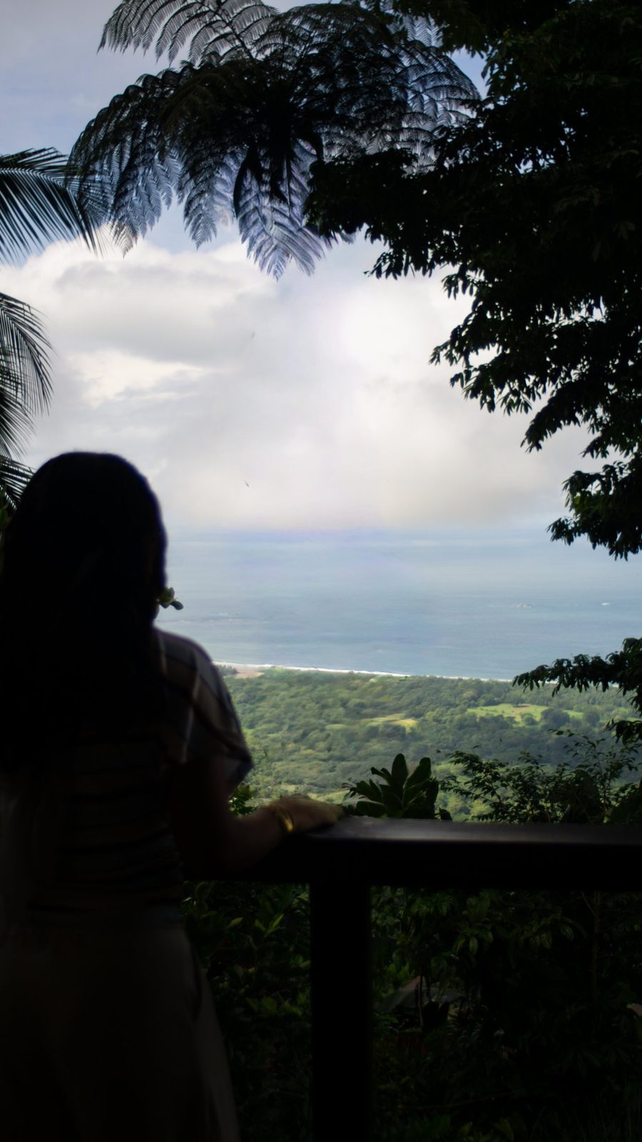 Silhouette at the railing overlooking the jungle and the Whale Tail coastline