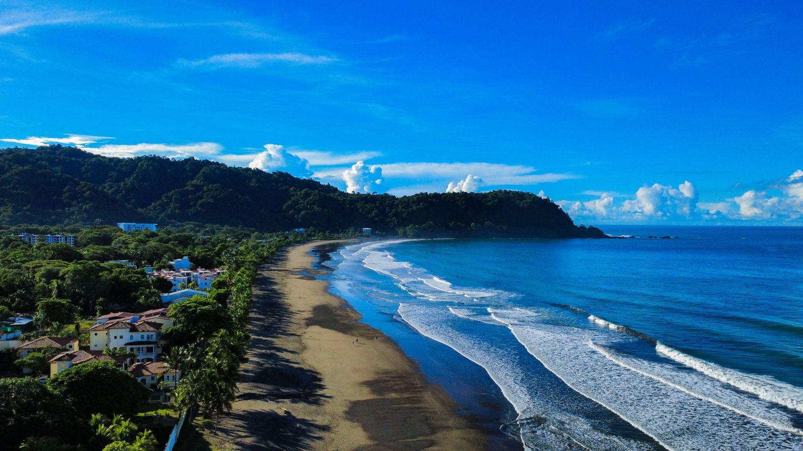 Aerial view of Jac&oacute; Beach, its palm-lined shore and the forested headland