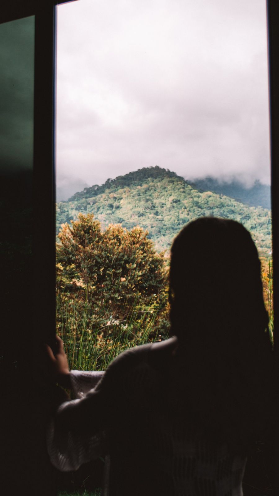 Silhouette at the window looking out at a jungle-covered mountain