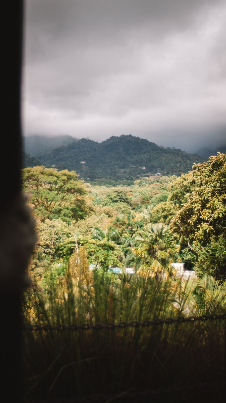 Framed view of the rainforest valley and cloud-topped hills