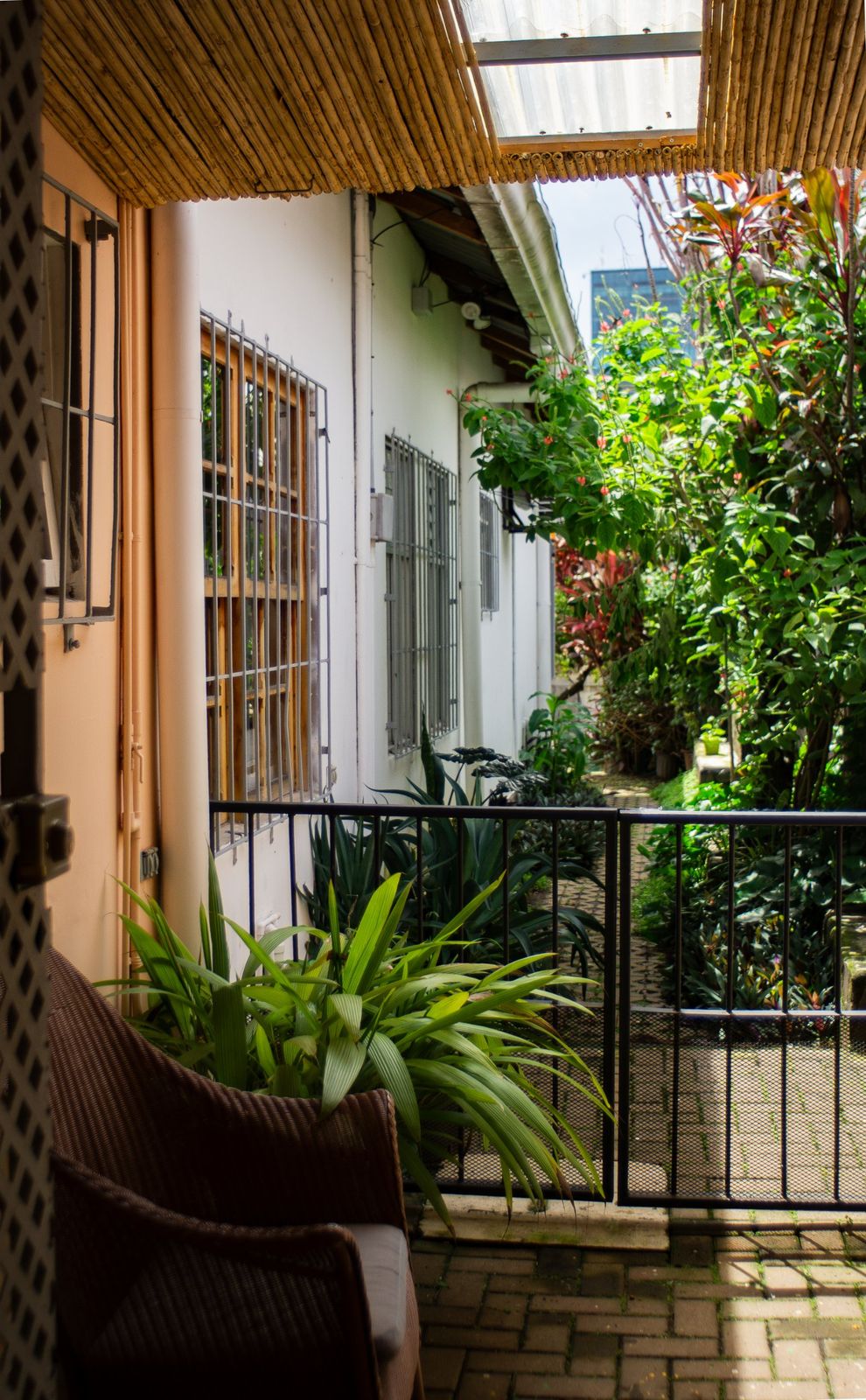 Shaded walkway beside the white casita with barred windows and tropical garden