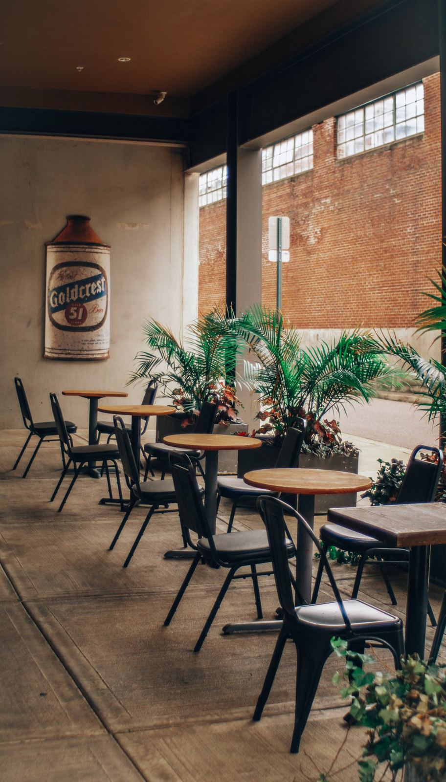 Covered patio seating with palms and a vintage Goldcrest beer sign